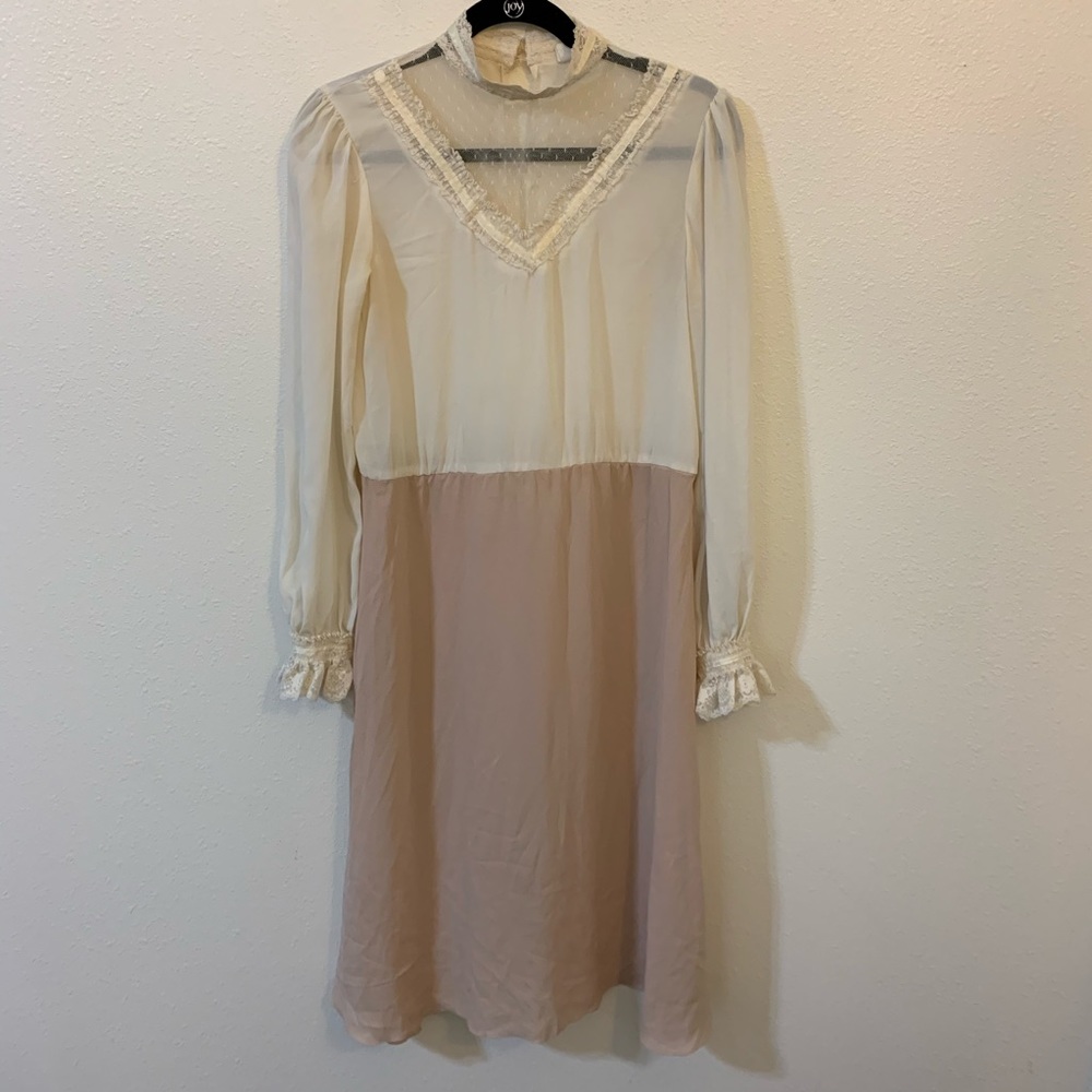 Vintage sheer Victorian insp dress